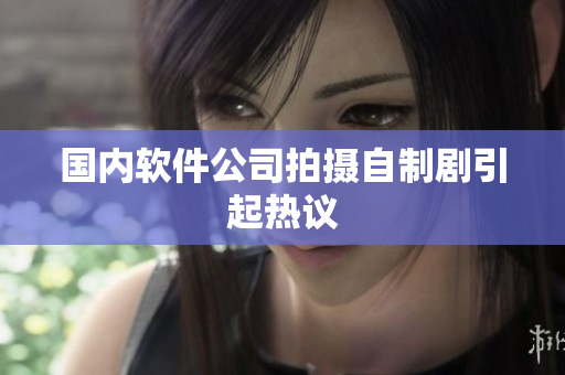 国内软件公司拍摄自制剧引起热议