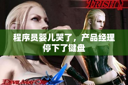 程序员婴儿哭了，产品经理停下了键盘