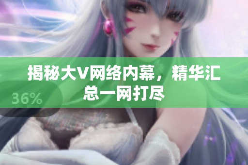 揭秘大V网络内幕，精华汇总一网打尽