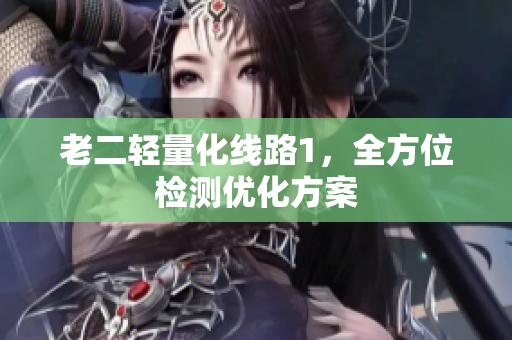 老二轻量化线路1，全方位检测优化方案