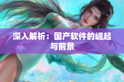 深入解析：国产软件的崛起与前景