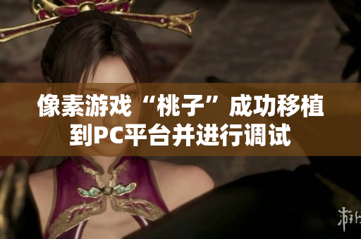 像素游戏“桃子”成功移植到PC平台并进行调试