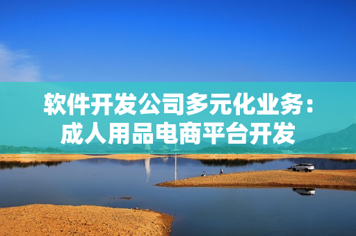 软件开发公司多元化业务：成人用品电商平台开发