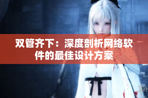 双管齐下：深度剖析网络软件的最佳设计方案