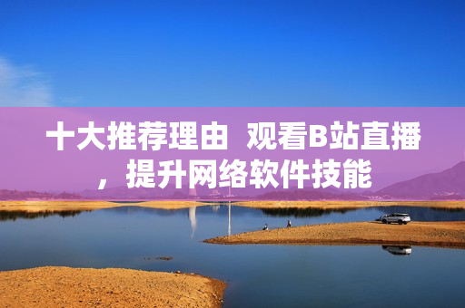 十大推荐理由  观看B站直播，提升网络软件技能