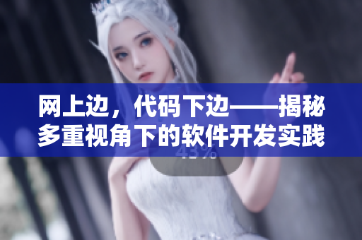 网上边，代码下边——揭秘多重视角下的软件开发实践