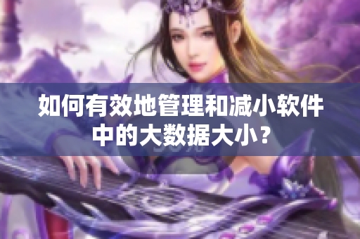 如何有效地管理和减小软件中的大数据大小？
