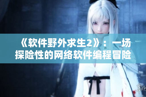 《软件野外求生2》：一场探险性的网络软件编程冒险