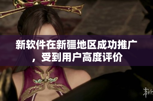 新软件在新疆地区成功推广，受到用户高度评价