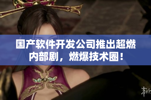 国产软件开发公司推出超燃内部剧，燃爆技术圈！