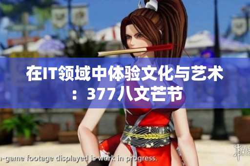 在IT领域中体验文化与艺术：377八文芒节