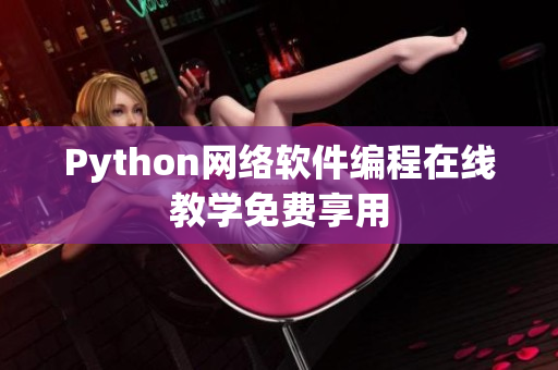 Python网络软件编程在线教学免费享用