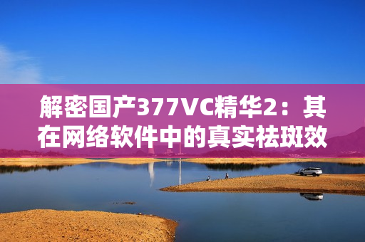 解密国产377VC精华2：其在网络软件中的真实祛斑效果