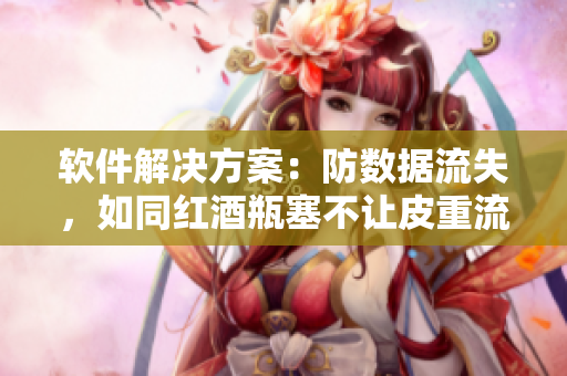 软件解决方案：防数据流失，如同红酒瓶塞不让皮重流下