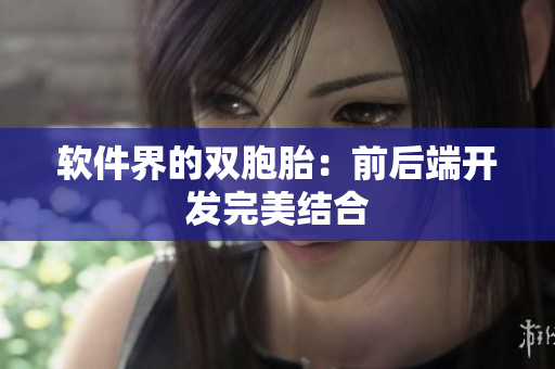 软件界的双胞胎：前后端开发完美结合