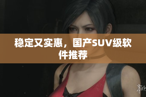 稳定又实惠，国产SUV级软件推荐