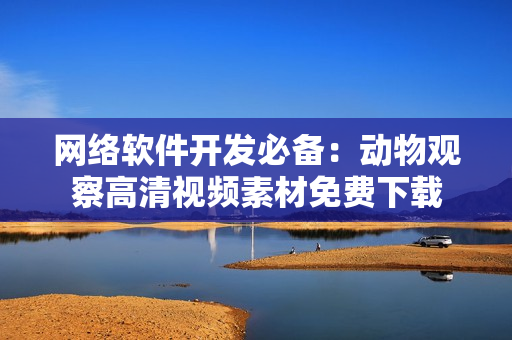 网络软件开发必备：动物观察高清视频素材免费下载