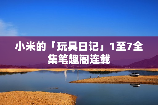 小米的「玩具日记」1至7全集笔趣阁连载