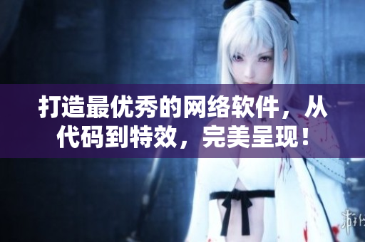 打造最优秀的网络软件，从代码到特效，完美呈现！