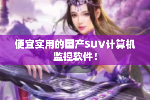便宜实用的国产SUV计算机监控软件！