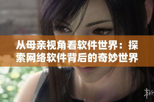 从母亲视角看软件世界：探索网络软件背后的奇妙世界