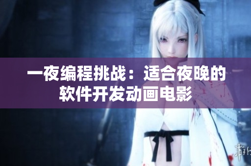 一夜编程挑战：适合夜晚的软件开发动画电影