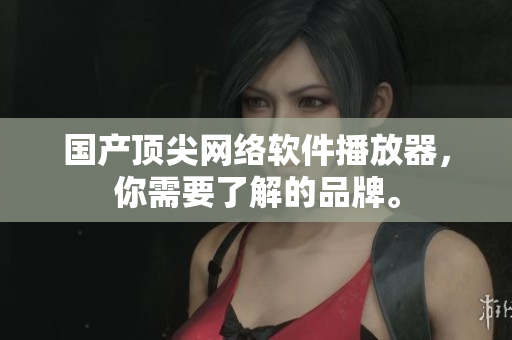 国产顶尖网络软件播放器，你需要了解的品牌。
