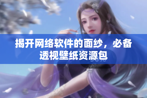 揭开网络软件的面纱，必备透视壁纸资源包
