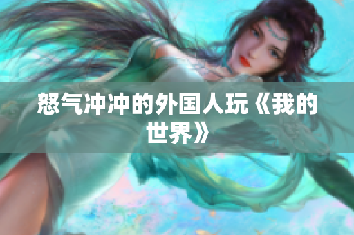 怒气冲冲的外国人玩《我的世界》