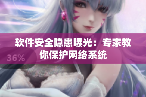 软件安全隐患曝光：专家教你保护网络系统