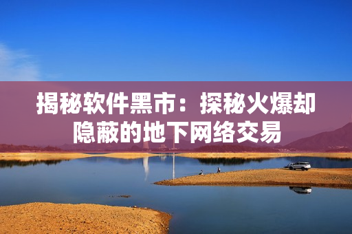 揭秘软件黑市：探秘火爆却隐蔽的地下网络交易