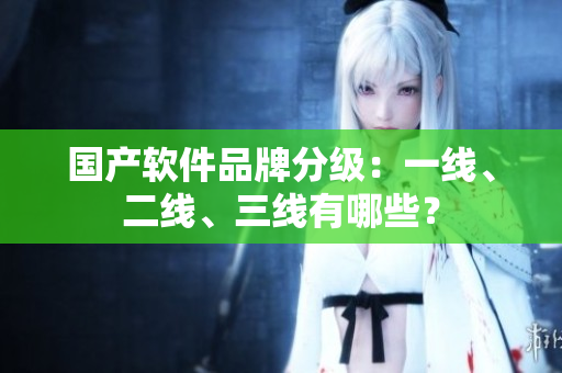 国产软件品牌分级：一线、二线、三线有哪些？
