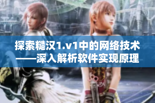 探索糙汉1.v1中的网络技术——深入解析软件实现原理