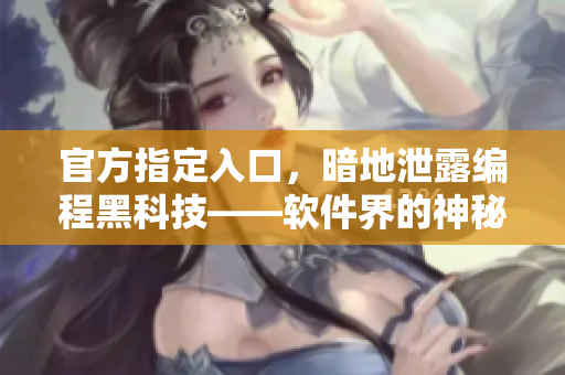官方指定入口，暗地泄露编程黑科技——软件界的神秘内幕！