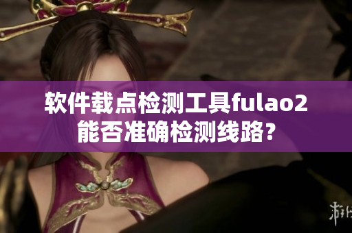 软件载点检测工具fulao2能否准确检测线路？