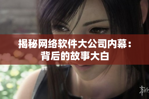 揭秘网络软件大公司内幕：背后的故事大白