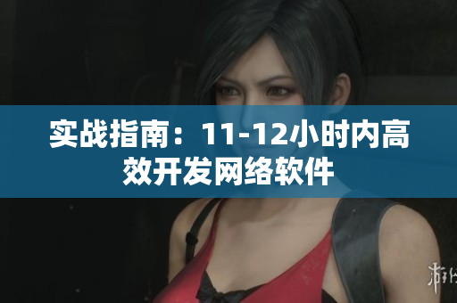 实战指南：11-12小时内高效开发网络软件