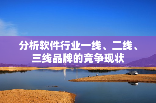 分析软件行业一线、二线、三线品牌的竞争现状
