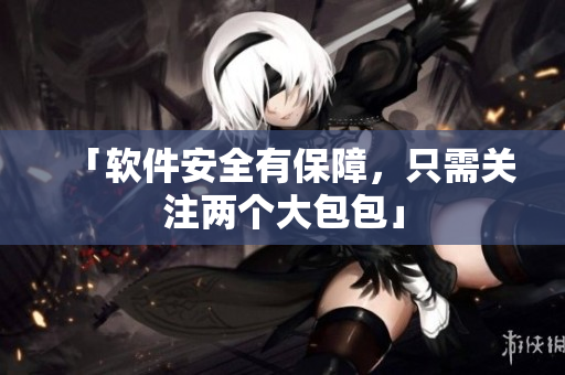 「软件安全有保障，只需关注两个大包包」