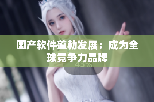 国产软件蓬勃发展：成为全球竞争力品牌