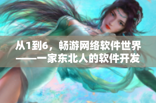 从1到6，畅游网络软件世界——一家东北人的软件开发故事