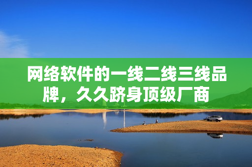 网络软件的一线二线三线品牌，久久跻身顶级厂商