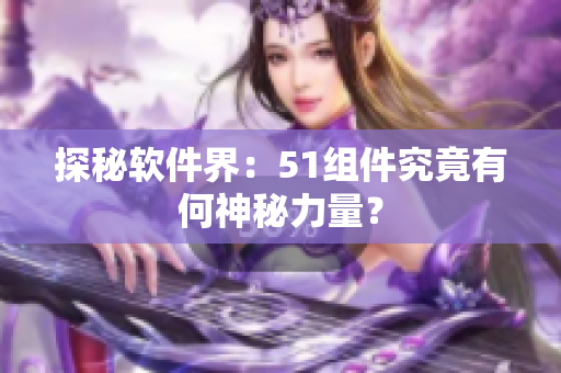 探秘软件界：51组件究竟有何神秘力量？