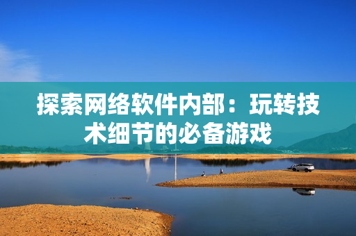 探索网络软件内部：玩转技术细节的必备游戏
