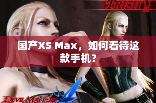 国产XS Max，如何看待这款手机？