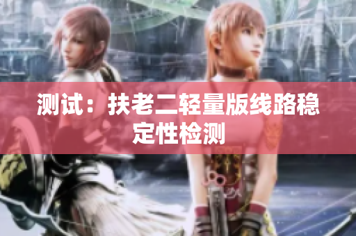 测试：扶老二轻量版线路稳定性检测