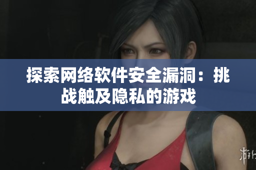 探索网络软件安全漏洞：挑战触及隐私的游戏