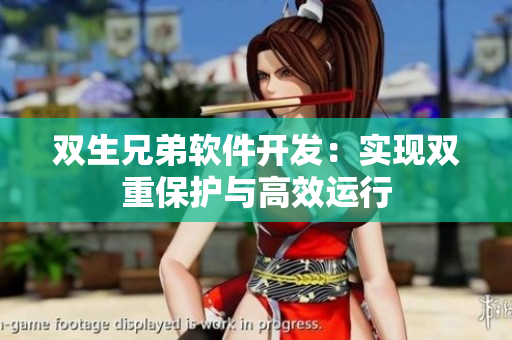 双生兄弟软件开发：实现双重保护与高效运行