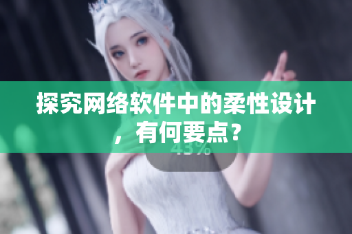 探究网络软件中的柔性设计，有何要点？