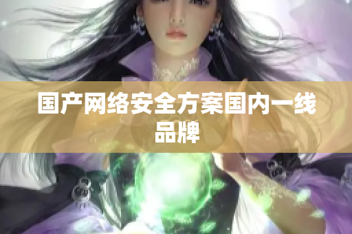 国产网络安全方案国内一线品牌